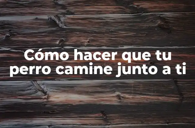 Cómo Hacer que Tu Perro Camine Junto a Ti
