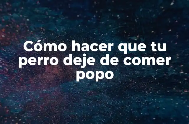 Cómo Hacer que Tu Perro Deje de Comer Popo