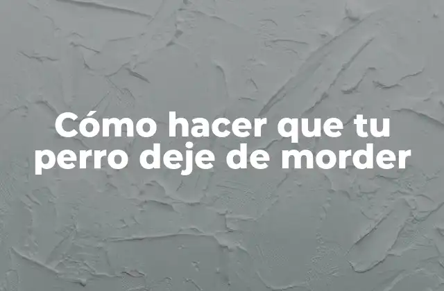 Cómo Hacer que Tu Perro Deje de Morder