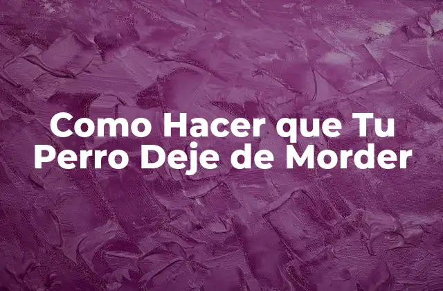 Como Hacer que Tu Perro Deje de Morder