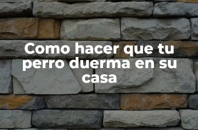 Como Hacer que Tu Perro Duerma en Su Casa