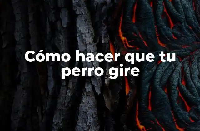 Cómo hacer que tu perro gire