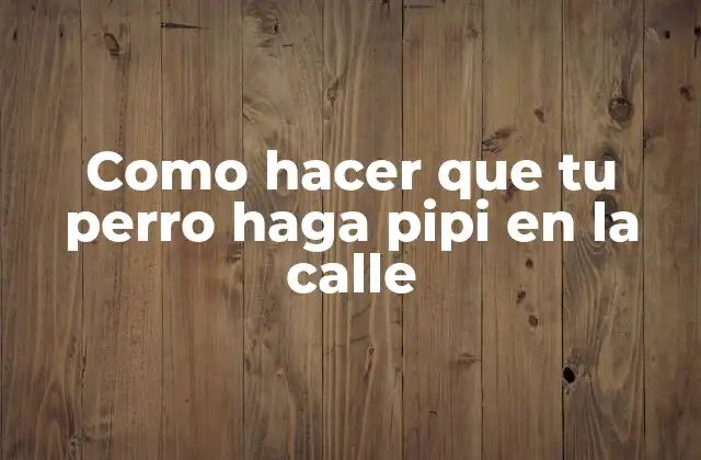 Como Hacer que Tu Perro Haga Pipi en la Calle