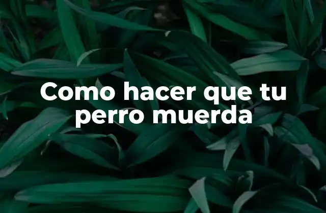 Como Hacer que Tu Perro Muerda