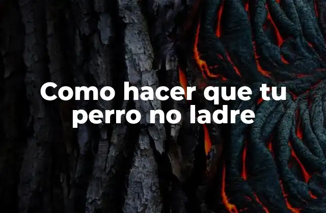 Como hacer que tu perro no ladre