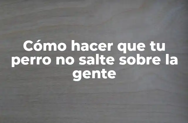Cómo Hacer que Tu Perro No Salte sobre la Gente