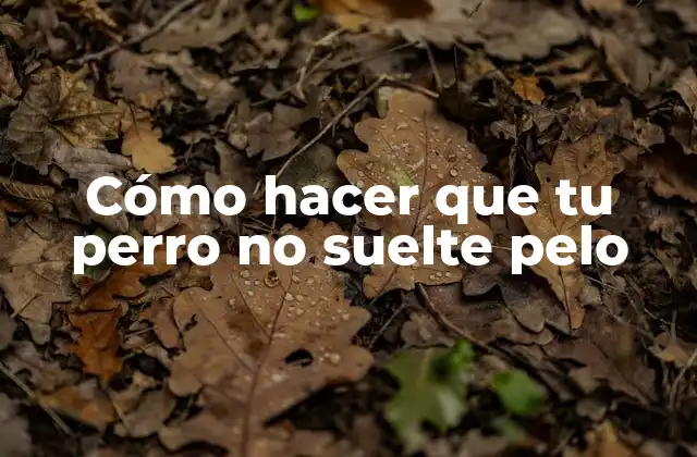 Cómo Hacer que Tu Perro No Suelte Pelo