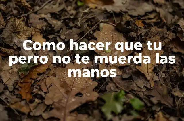 Como Hacer que Tu Perro No Te Muerda las Manos