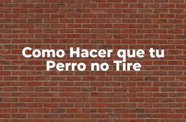 Como Hacer que Tu Perro No Tire