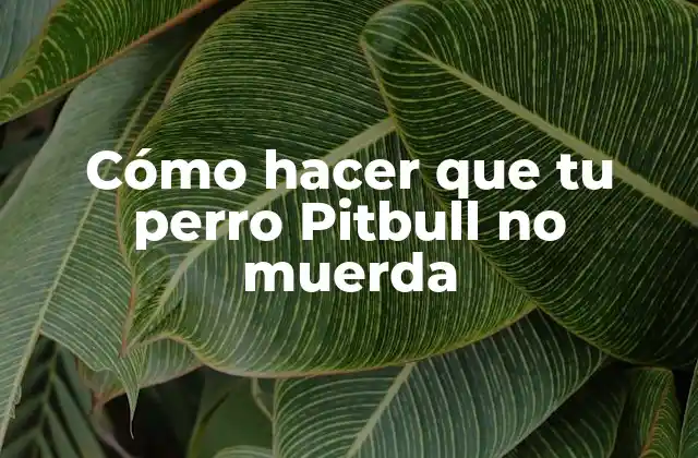 Cómo Hacer que Tu Perro Pitbull No Muerda