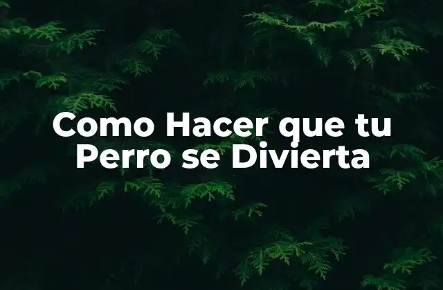 Como Hacer que Tu Perro Se Divierta