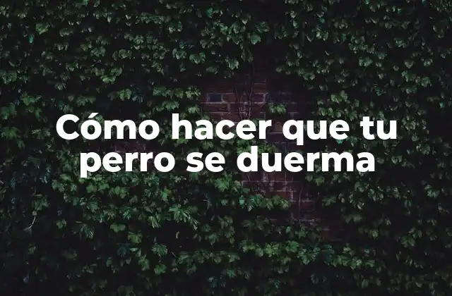 Cómo Hacer que Tu Perro Se Duerma