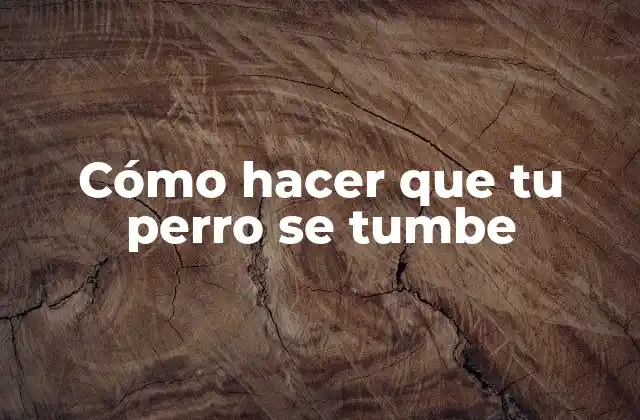 Cómo Hacer que Tu Perro Se Tumbe 2 Cómo hacer que tu perro se tumbe