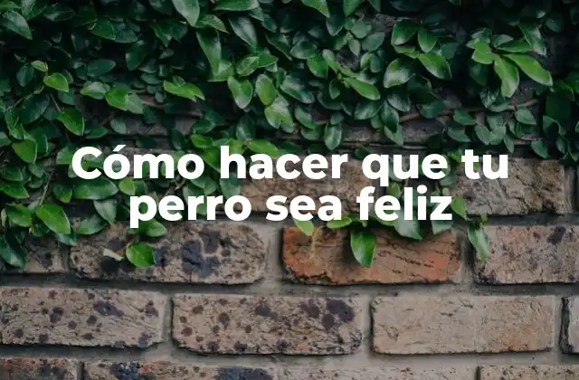 Cómo Hacer que Tu Perro Sea Feliz