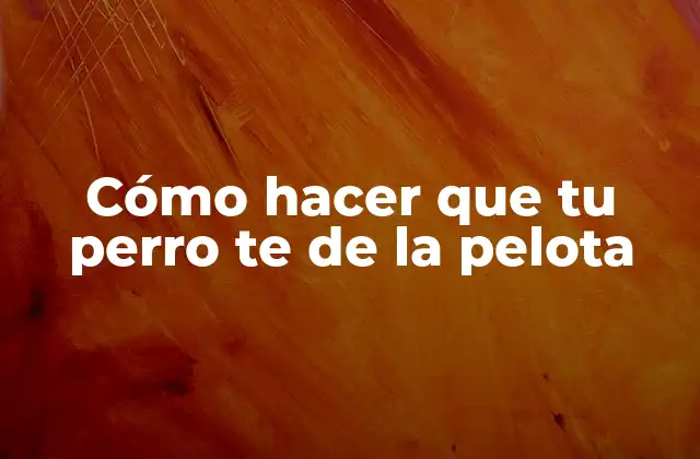 Cómo Hacer que Tu Perro Te de la Pelota