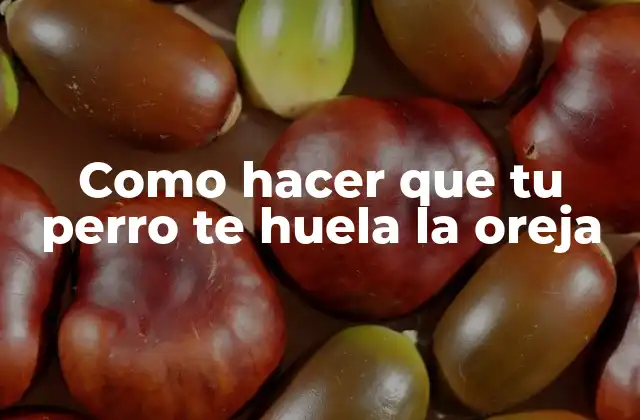 Como Hacer que Tu Perro Te Huela la Oreja