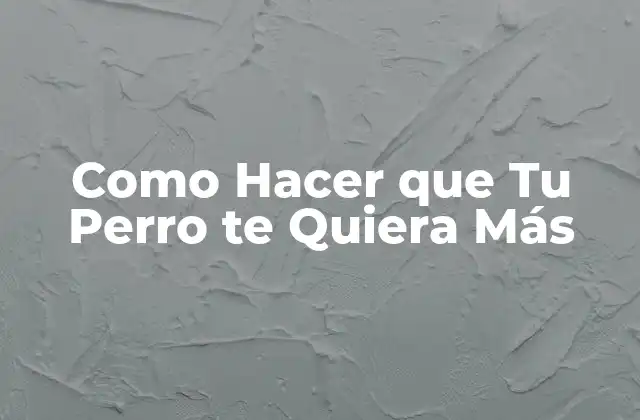 Como Hacer que Tu Perro Te Quiera Más