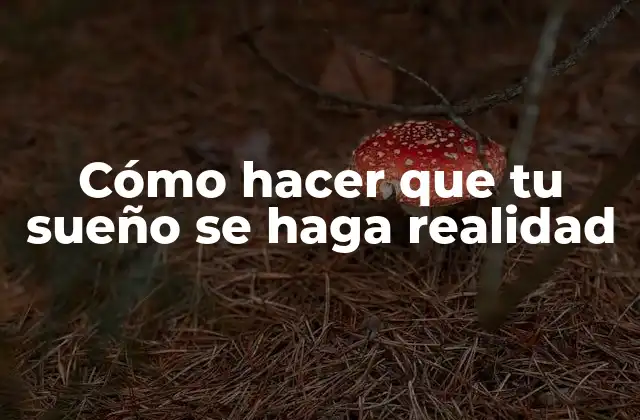 Cómo Hacer que Tu Sueño Se Haga Realidad