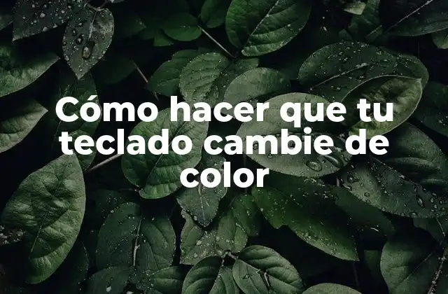 Cómo Hacer que Tu Teclado Cambie de Color