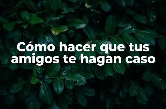 Cómo Hacer que Tus Amigos Te Hagan Caso