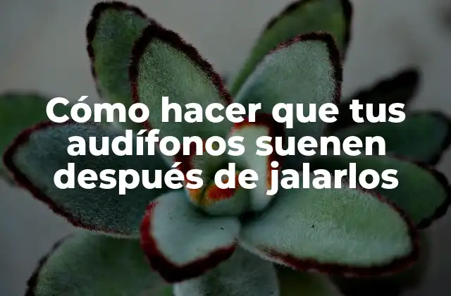 Cómo Hacer que Tus Audífonos Suenen Después de Jalarlos