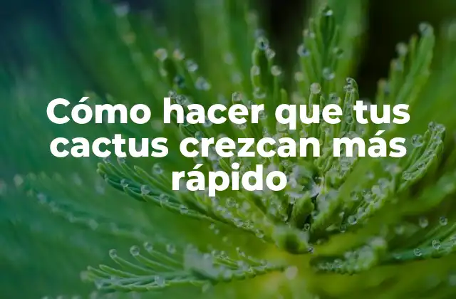 Cómo Hacer que Tus Cactus Crezcan Más Rápido