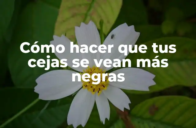 Cómo Hacer que Tus Cejas Se Vean Más Negras