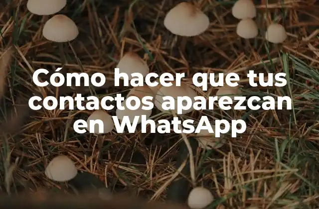 Cómo Hacer que Tus Contactos Aparezcan en Whatsapp