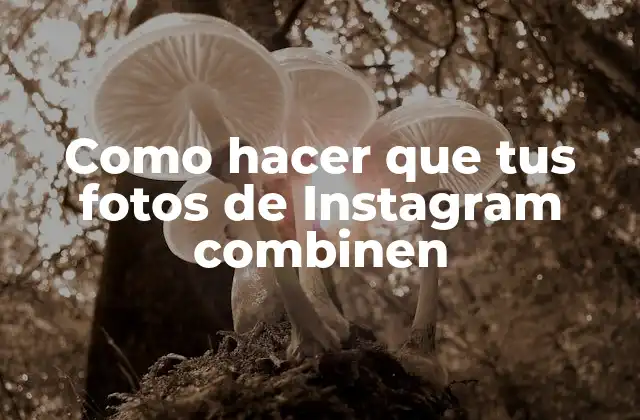 Como Hacer que Tus Fotos de Instagram Combinen 2 ¿Qué es una feed de Instagram coherente y para qué sirve?