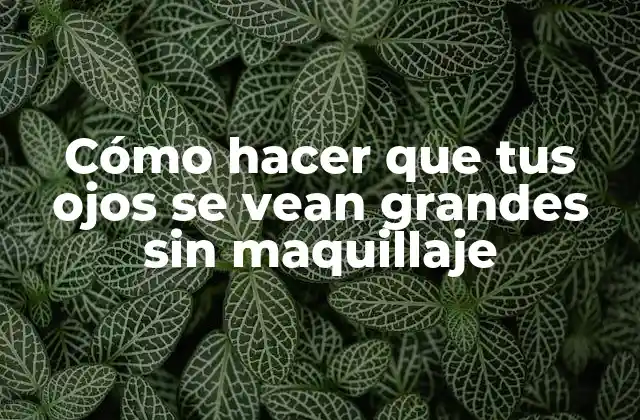 Cómo Hacer que Tus Ojos Se Vean Grandes sin Maquillaje