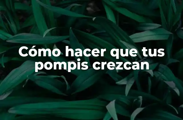 Cómo Hacer que Tus Pompis Crezcan