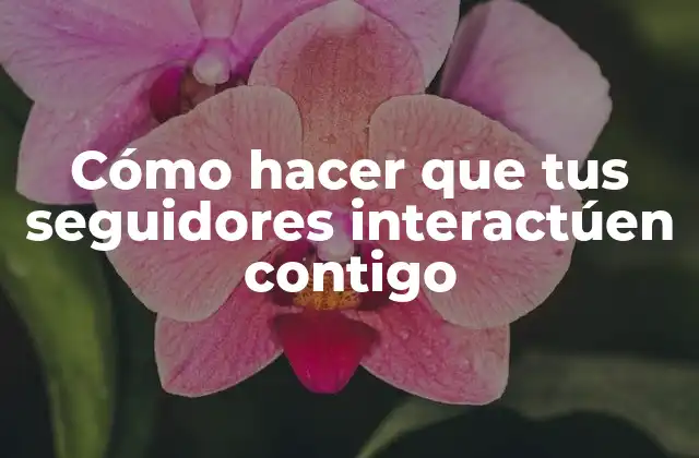 Cómo hacer que tus seguidores interactúen contigo