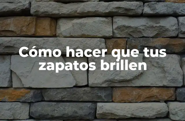 Cómo Hacer que Tus Zapatos Brillen