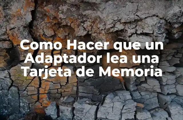 Como Hacer que un Adaptador Lea una Tarjeta de Memoria