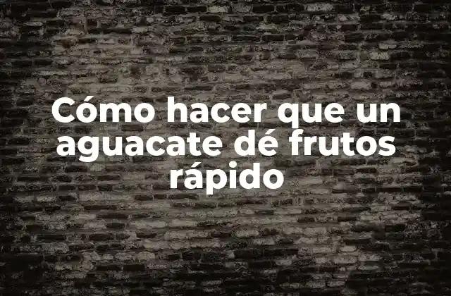 Cómo Hacer que un Aguacate Dé Frutos Rápido