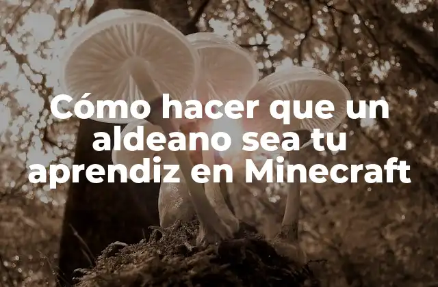 Cómo Hacer que un Aldeano Sea Tu Aprendiz en Minecraft