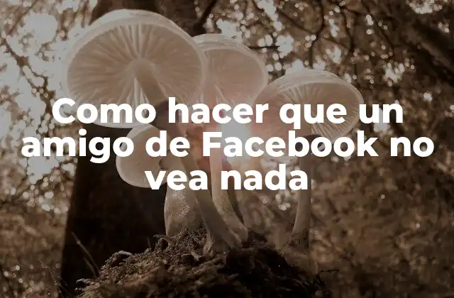 Privacidad en Facebook