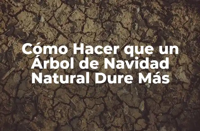 Cómo Hacer que un Árbol de Navidad Natural Dure Más