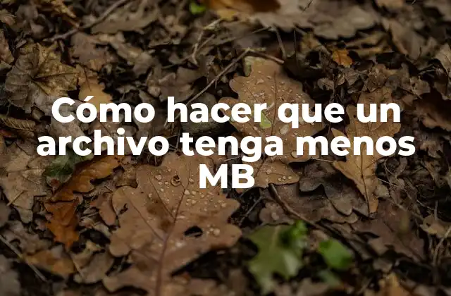 Cómo Hacer que un Archivo Tenga Menos Mb