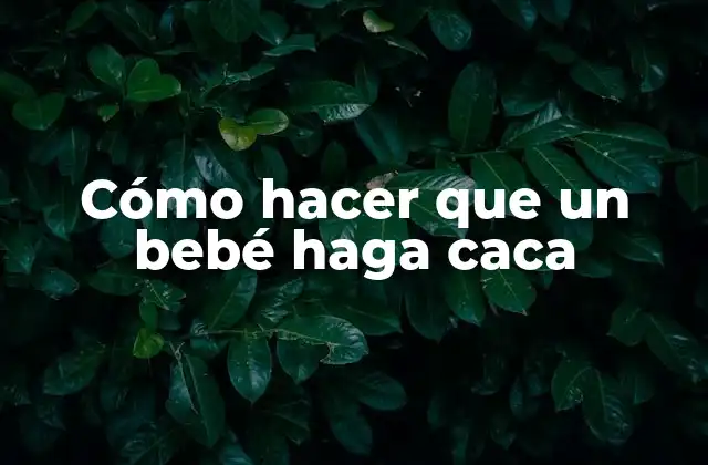 Cómo Hacer que un Bebé Haga Caca 2 Cómo hacer que un bebé haga caca: Explicación y técnicas