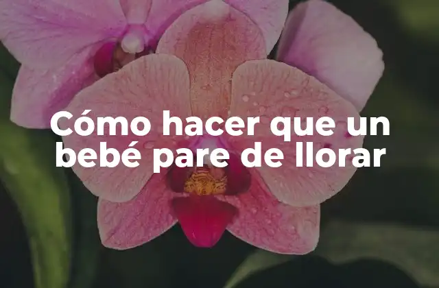 Cómo Hacer que un Bebé Pare de Llorar