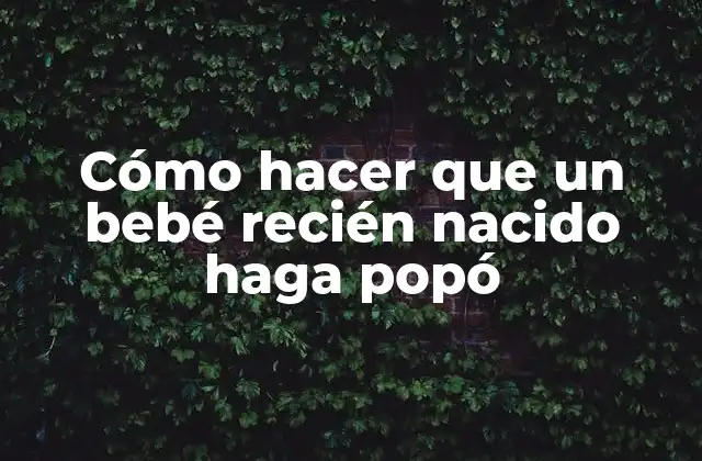 Cómo Hacer que un Bebé Recién Nacido Haga Popó