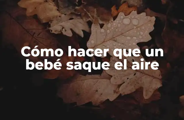 Cómo Hacer que un Bebé Saque el Aire