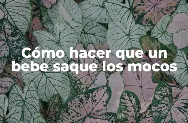 Cómo Hacer que un Bebe Saque los Mocos