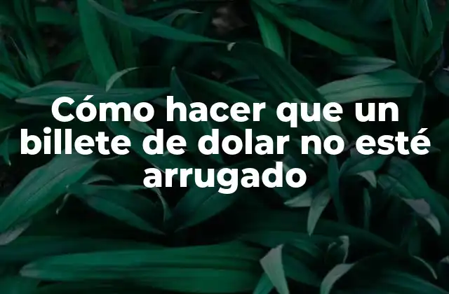 Cómo Hacer que un Billete de Dolar No Esté Arrugado
