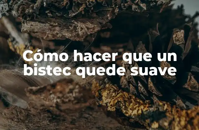 Cómo Hacer que un Bistec Quede Suave