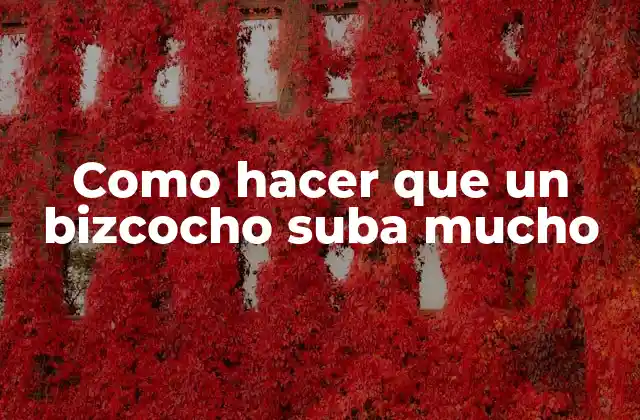 Como Hacer que un Bizcocho Suba Mucho