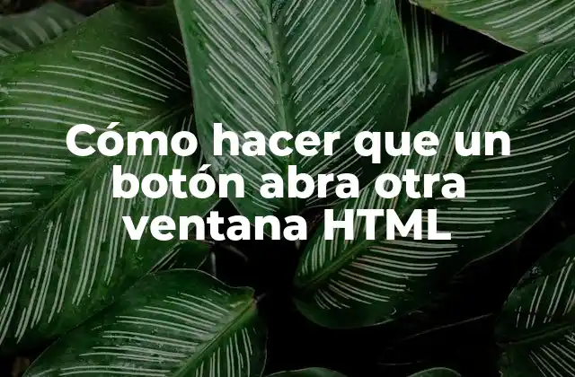 Cómo Hacer que un Botón Abra Otra Ventana Html