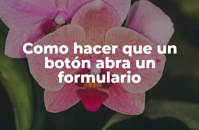 Como Hacer que un Botón Abra un Formulario 2 Botón que abre un formulario