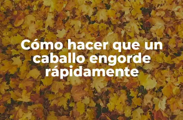 Cómo hacer que un caballo engorde rápidamente